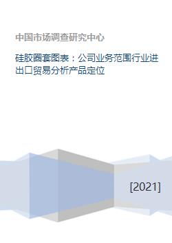 硅膠圈套圖表業(yè)務在進出口貿(mào)易中的定位與網(wǎng)上貿(mào)易代理分析