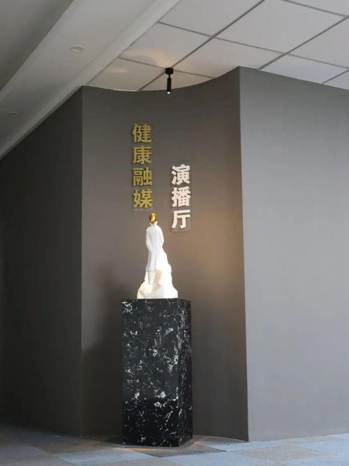 健康融媒演播廳正式上線 唱響健康好聲音，探索工藝美術品零售新方向